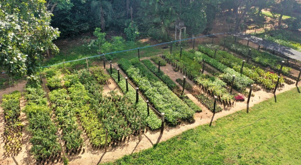 Imagem aérea de um viveiro de plantas.